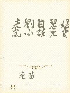 老刘日儿媳妇张岚小说免费阅读