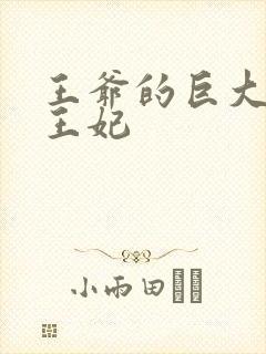 王爷的巨大进入王妃