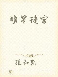 明星后宫封面