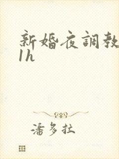 新婚夜调教1v1h封面
