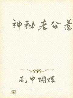 神秘老公惹不起