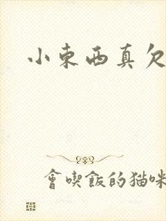 小东西真欠弄封面
