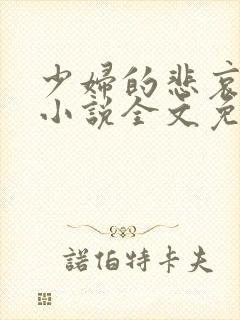 少妇的悲哀榆木小说全文免费阅读笔趣阁下载