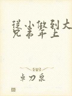 从小做到大骨科兄弟年上