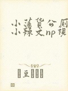 小荡货公厕h文小辣文np视频
