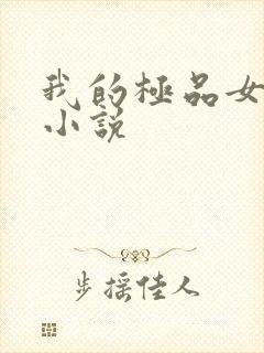 我的极品女老师小说