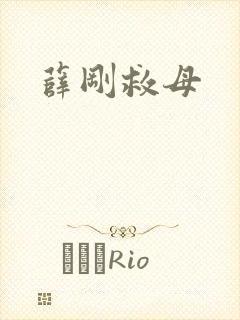 薛刚救母