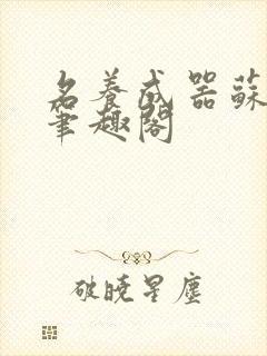 名养成器苏沫沫笔趣阁封面