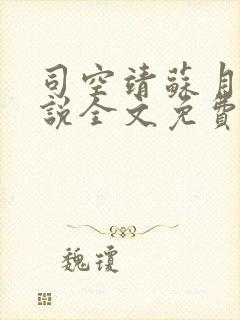 司空靖苏月汐小说全文免费阅读