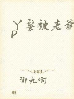丫鬟被老爷玩NP封面