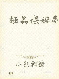 极品保姆梦梦封面