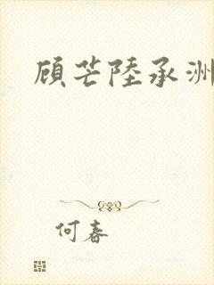 顾芒陆承洲封面