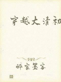 穿越大清初年封面