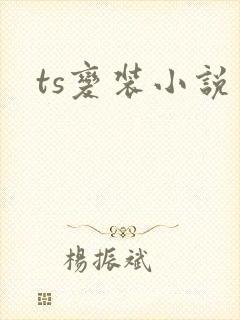 ts变装小说封面