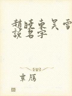 赵晓东吴雪晴小说名字