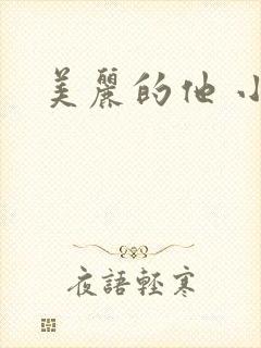 美丽的他 小说