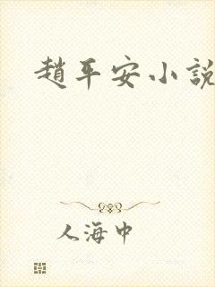 赵平安小说主角封面