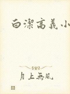 白洁高义小说