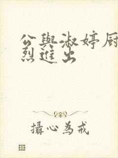 公与淑婷厨房猛烈进出