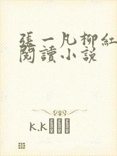 张一凡柳红免费阅读小说