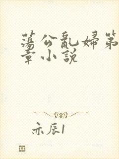 荡公乱妇第51章小说