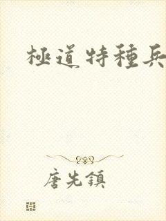 极道特种兵