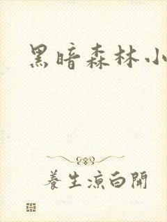 黑暗森林小说