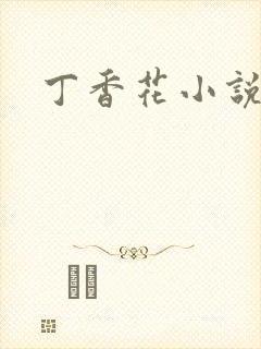 丁香花小说封面