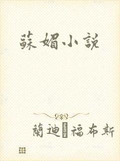 苏媚小说封面