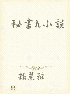 秘书h小说