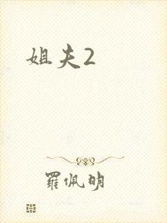 姐夫2封面