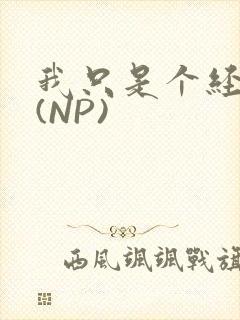 我只是个经纪人(NP)