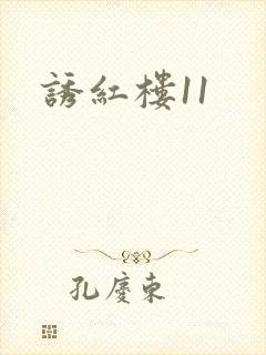 诱红楼11