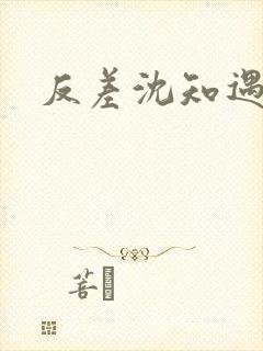 反差沈知遇晏应