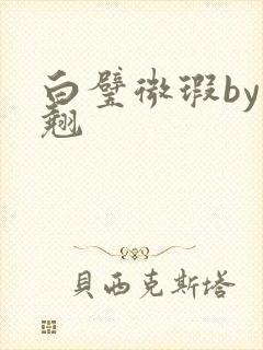 白璧微瑕by连翘封面