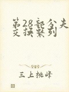 第28部分夫妇交换系列封面