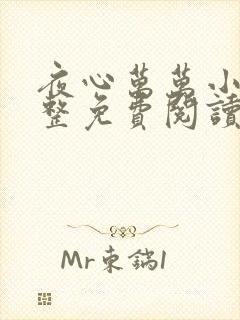 夜心万万小说完整免费阅读全文