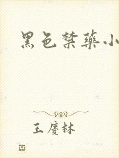 黑色禁药小说