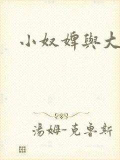 小奴婢与大少爷