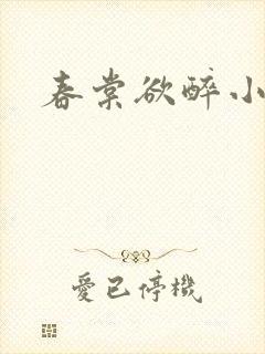 春棠欲醉小说