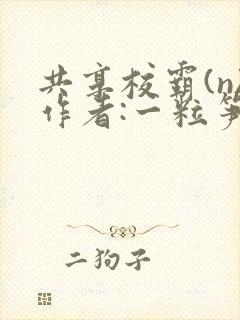 共享校霸(n)作者:一粒笋封面