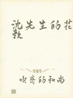 沈先生的花式管教