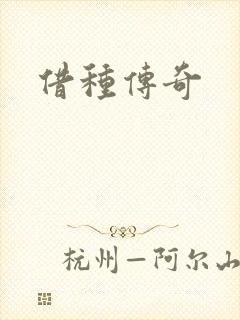 借种传奇封面