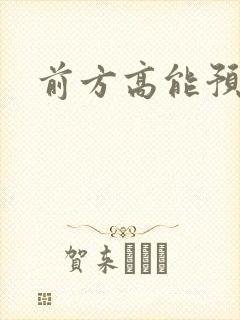 前方高能预警封面
