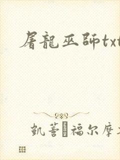 屠龙巫师txt