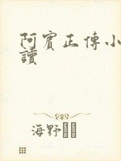 阿宾正传小说在读