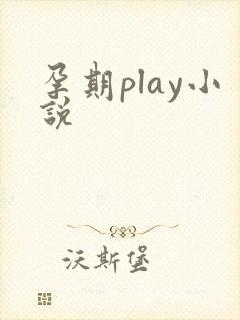 孕期play小说