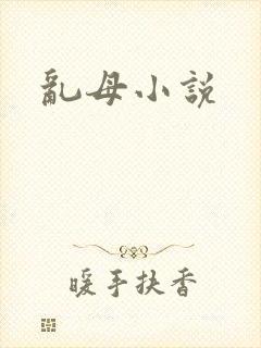 乱母小说