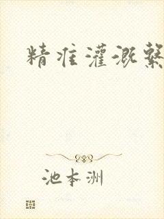 精准灌溉系统