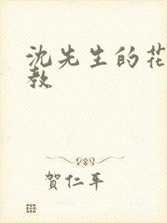 沈先生的花式管教
